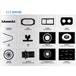 瑞科光学检测设备-惠州螺丝光学筛选机-螺丝光学筛选机厂商