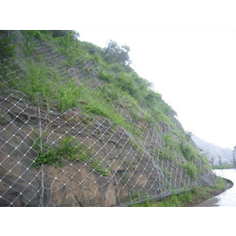 边坡防护网施工 边坡防护网直接厂家 山体护坡网