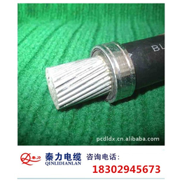 电力钢芯铝绞线| 陕西电缆厂|汉中钢芯铝绞线