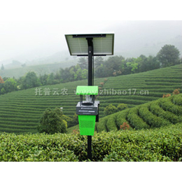 应用风吸式茶园联网杀虫灯提升茶园产量