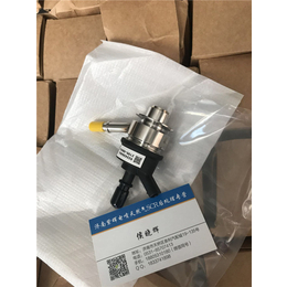 艾可蓝2.0尿素泵电机-优惠(在线咨询)-泰安尿素泵电机