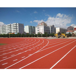 安徽国优塑胶跑道(图),园林塑胶跑道施工,合肥塑胶跑道