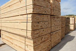 日照木材加工哪家好-名和沪中木业(在线咨询)-日照木材加工