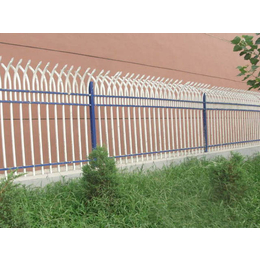 河北宝潭护栏(多图)-订购锌钢围墙护栏-青海锌钢围墙护栏