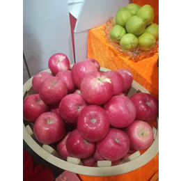 陕西洛川苹果供应|陕西洛川苹果|景盛果业
