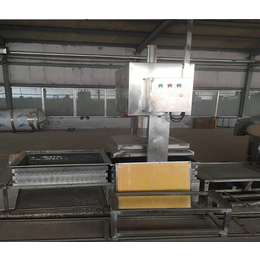 台湾豆制品机械