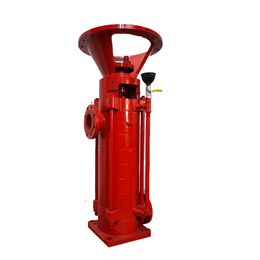 湖州消防增压泵,正济泵业行业先锋,消防增压泵找哪家