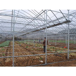 青州瀚洋农业(在线咨询)|种植大棚|西瓜种植大棚