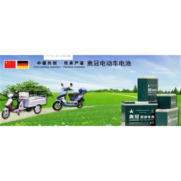 电动车锂电池生产厂家-奥冠新能源工艺****-扬州电动车锂电池