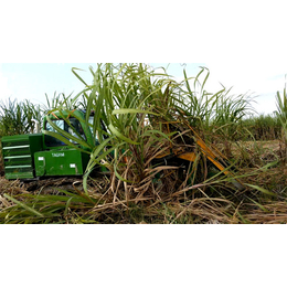 甘蔗收割机-中热农业机械-自动甘蔗收割机