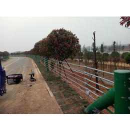 黔东南风景区缆索护栏_威友丝网_风景区缆索护栏哪里卖