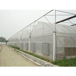 种植大棚,青州瀚洋农业,番茄种植大棚