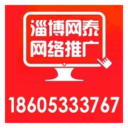 淄博企业网站优化公司|淄博网泰科技|张店网站优化公司