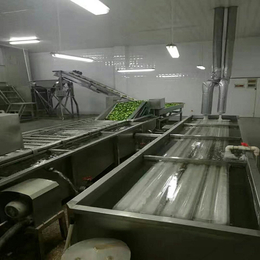 四川叶类蔬菜气泡清洗设备- 洗刷刷机械制造公司