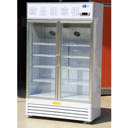 东营药品标准柜-盛世凯迪制冷设备制造-药品标准柜厂家