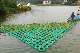 水生植物浮岛-聚格塑料制品厂(在线咨询)
