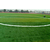 平顶山学校足球场草坪人造草坪每平米价格缩略图3