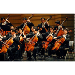 大提琴|音妙艺术中心|大提琴家教