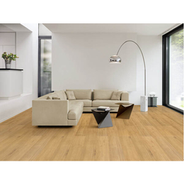 罗西艺美地板(图)、木地板品牌价格、兰州市木地板