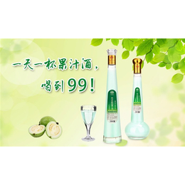 杭州果汁酒-广东华子龙酒-果汁酒品牌