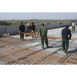 广西定型钢筋网 大丝焊接网片定做冷轧带肋钢丝网供应商