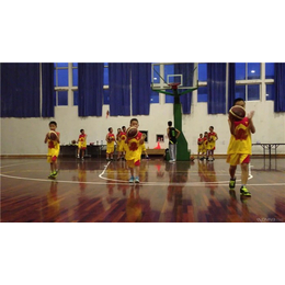 篮球- *体育-少儿篮球培训