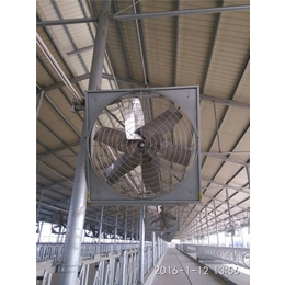 润江温控设备(多图)|塑料直连式牛舍风机|广平牛舍风机