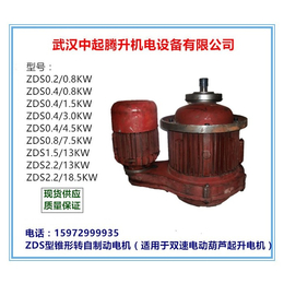 莎车ZDS2.2/18.5KW锥形电机、南京起重电机