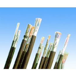 屏蔽计算机电缆生产厂家-贵州计算机电缆-绿宝电缆（集团）电缆