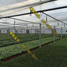 薄膜温室大棚适合种蔬菜|薄膜温室|柳州塑料薄膜温室的造价