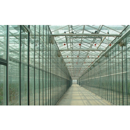 玻璃温室大棚|齐鑫温室园艺|中空玻璃温室大棚