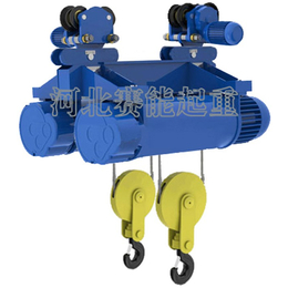 濮阳双钩电动葫芦_赛能起重_双钩电动葫芦多少钱