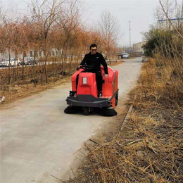 七台河电动扫地车-潍坊天洁机械-电动扫地车生产
