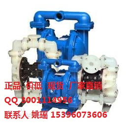 美国SANDPIPER气动隔膜泵S20B1AGTABS000
