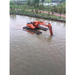 水陆挖机出租,洛阳水陆挖机,文淼水陆挖掘机出租