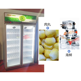 达硕厨房设备制造(图)|立式冷冻柜生产商|晋中立式冷冻柜
