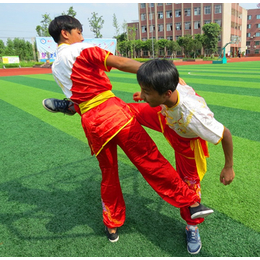 山东武术教学,中学武术教学,名扬武校(推荐商家)