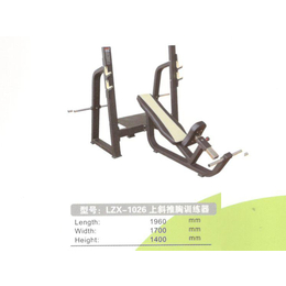 坐式推胸训练器-林动体育用品-坐式推胸训练器批发