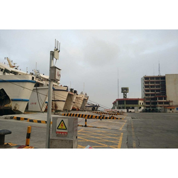 港机RCMS系统无线无线传输系_无线传输_博达讯