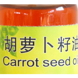 供应胡萝卜籽油 高含量植物精油