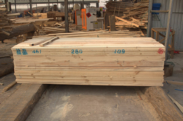工地用铁杉建筑木材-旺源木业(在线咨询)-商丘铁杉建筑木材
