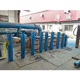 热水深井泵 热水深井泵选型 天津潜成热水深井泵图片