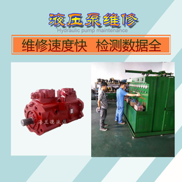 菏泽液压泵维修-修理液压泵-进口液压泵维修