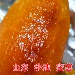 松北区烤薯店烤薯|后赵庄红薯|烤薯店烤薯价格