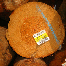 南京辐射松方木-辐射松方木出售-恒豪木业(推荐商家)