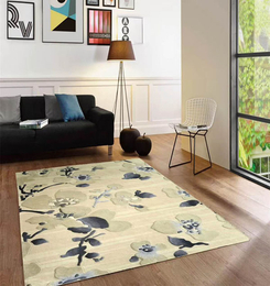 家用客厅地毯批发-金巢地毯(在线咨询)-唐山家用客厅地毯