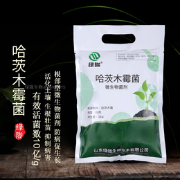 绿陇哈茨木霉菌 土传*病害克星 ****苗床出苗率 缩略图