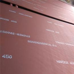 重庆*450钢板厂家货到付款、新涟钢材(图)