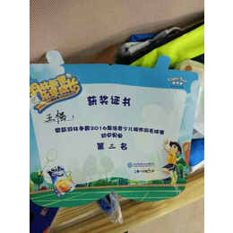 羽毛球训练,*体育(在线咨询),吴江羽毛球