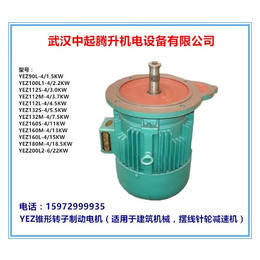 宁县YEZ180M-4/18.5KW锥形电机、武汉中起腾升